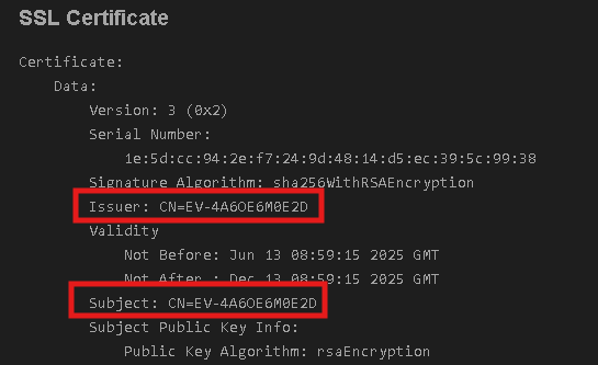 RDP TLS Certificate Common Name pattern